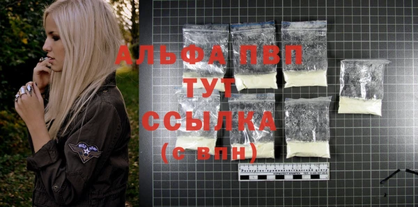 стафф Абаза