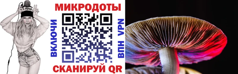 Псилоцибиновые грибы Magic Shrooms  Новочеркасск 